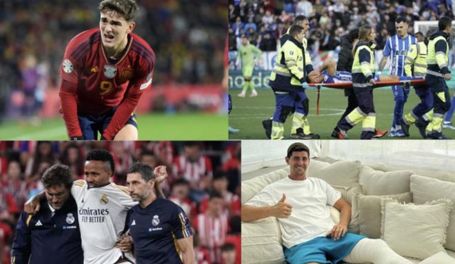 博彩运营商参与红树林保护