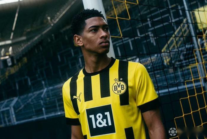 Wynn Sports2025年移动端下载量增长50%